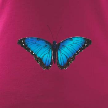 Motyl babočka Morpho Peleides