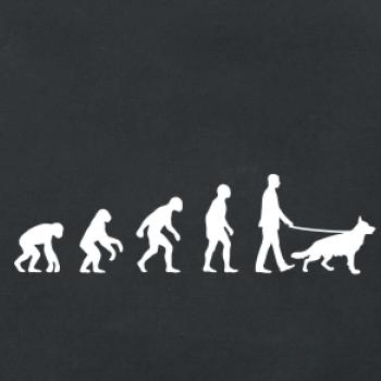 Evoluce pes Německý ovčák (muž-žena) Evoluce pes Německý ovčák (muž-žena)