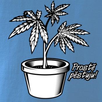 Konopi prostě pěstuju Konopi prostě pěstuju