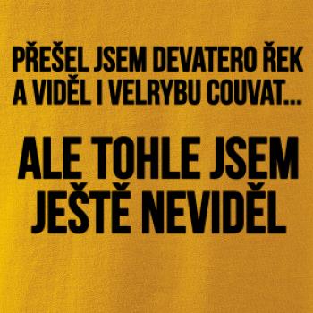 Viděl jsem velrybu couvat Viděl jsem velrybu couvat