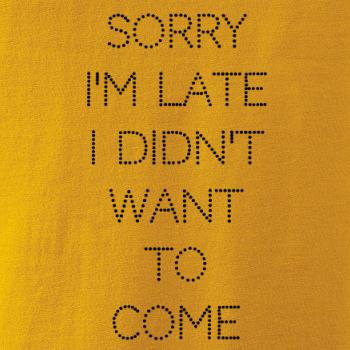 Sorry I am late i didn't want to come