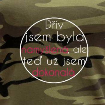 Dokonalá kruh