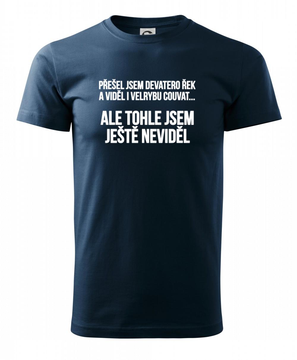 Viděl jsem velrybu couvat Viděl jsem velrybu couvat