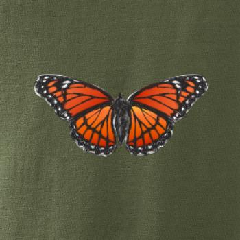 Motýl Monarcha stěhovavý