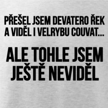 Viděl jsem velrybu couvat