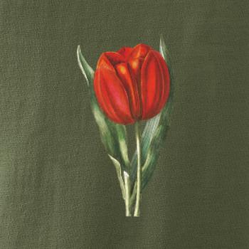 Červený tulipán