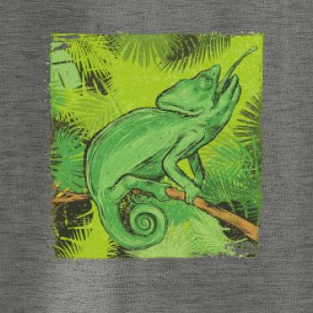 Chameleon na větvi