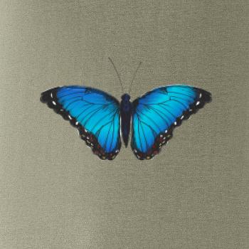 Motyl babočka Morpho Peleides