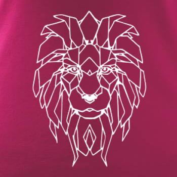 Geometrie - lev tvář