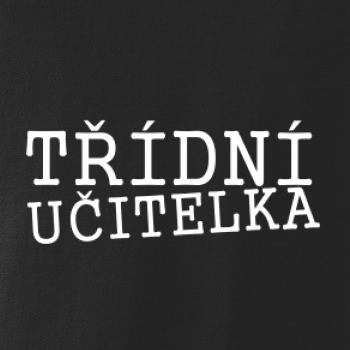 Třídní učitelka Třídní učitelka