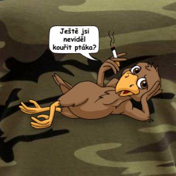 Kouřící pták (Hana-creative)