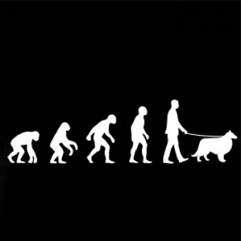 Evoluce pes Sheltie (muž-žena)