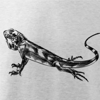 Tužkou kreslený Leguán 