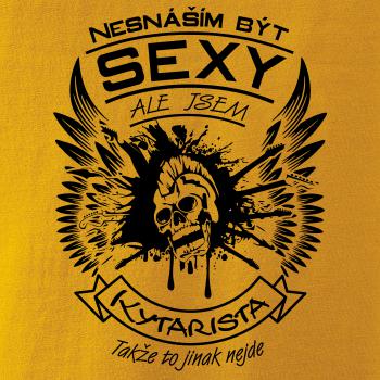Nesnáším být sexy - kytarista Nesnáším být sexy - kytarista