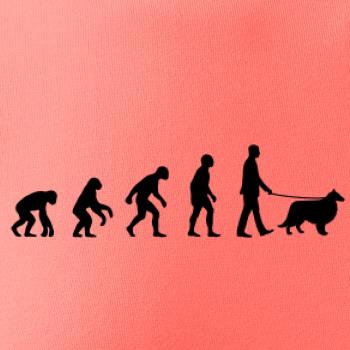 Evoluce pes Sheltie (muž-žena)