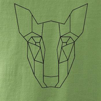 Americký Pit Bull Teriér - Geometrie