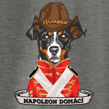Napoleon domácí pes kříženec Napoleon domácí pes kříženec