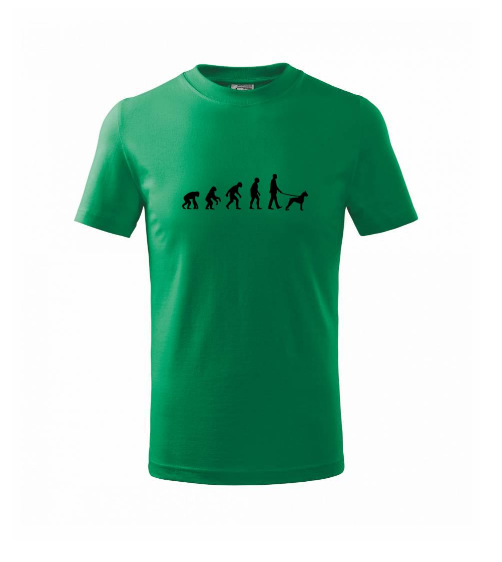 Evoluce pes boxer (muž-žena)