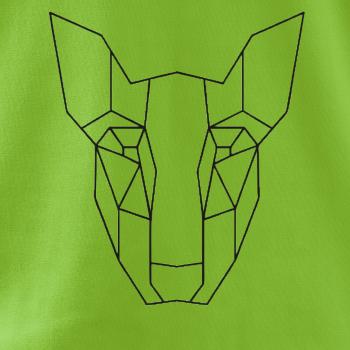 Americký Pit Bull Teriér - Geometrie
