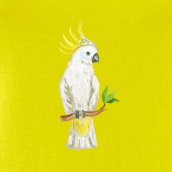 Papoušek Kakadu kreslený