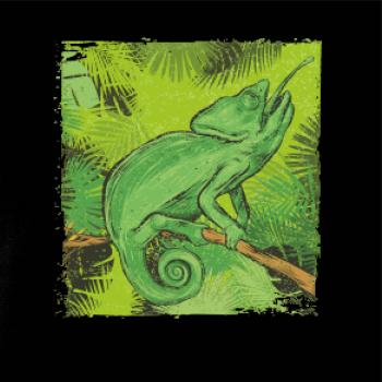 Chameleon na větvi