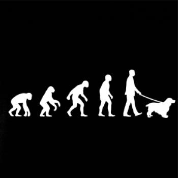 Evoluce pes kokršpaněl (muž-žena)