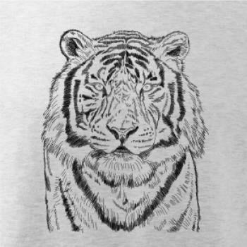Tygr skica