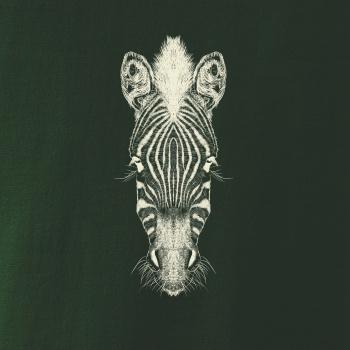 Zebra kresba
