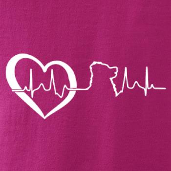 Bernský salašnický pes EKG