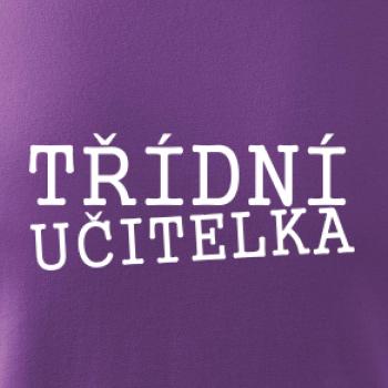 Třídní učitelka