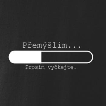Přemýšlím Přemýšlím