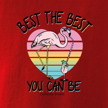 Best the best plameňák