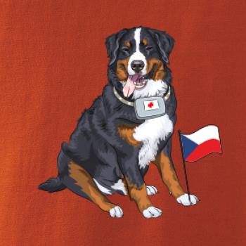 Pes záchranář bernský salašnický