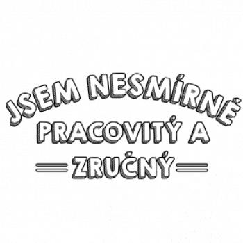 Jsem nesmírně pracovitý a zručný