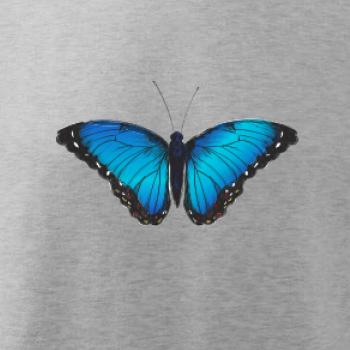 Motyl babočka Morpho Peleides