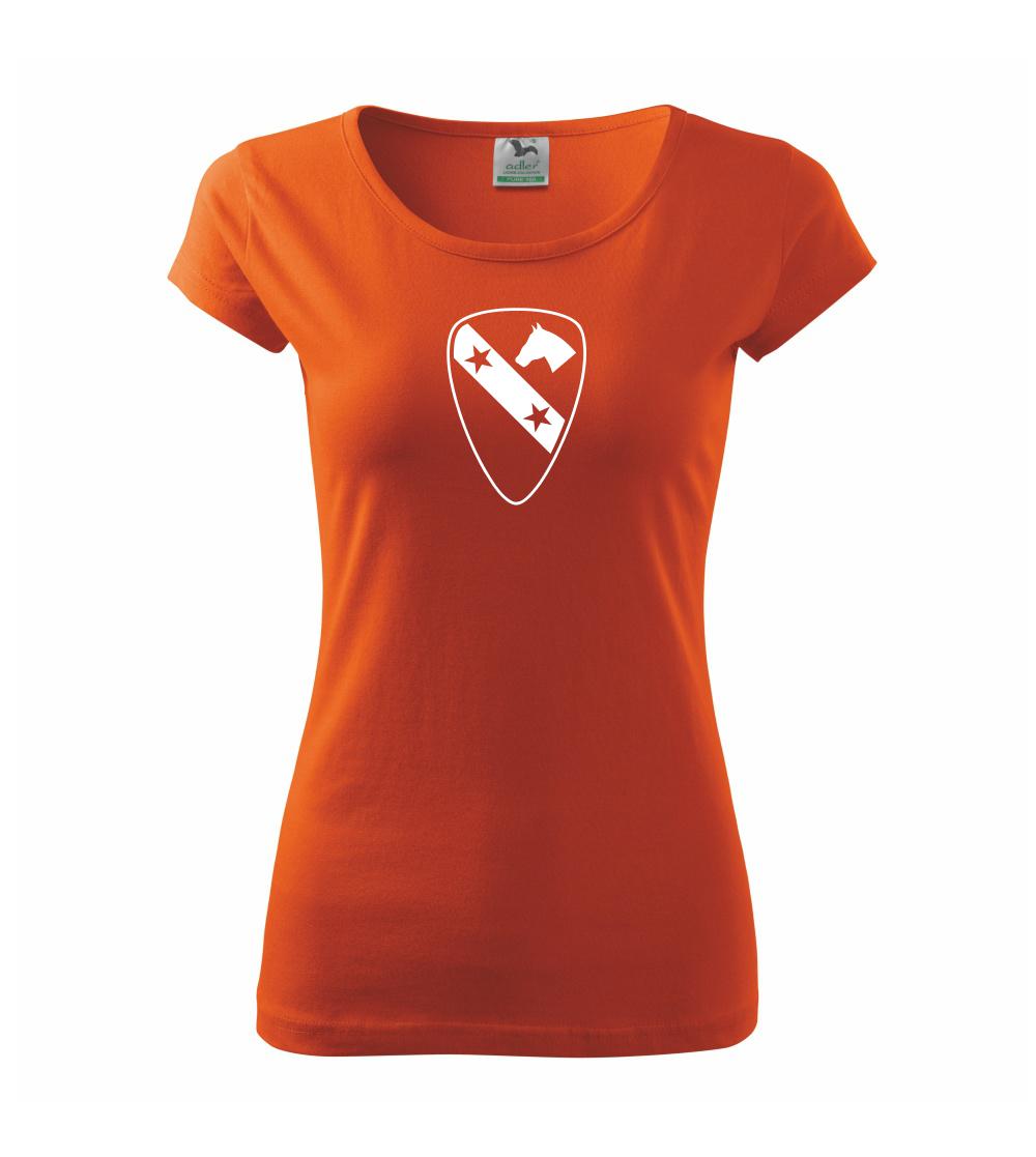 1st Cavalry Division hvězdy