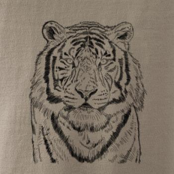 Tygr skica