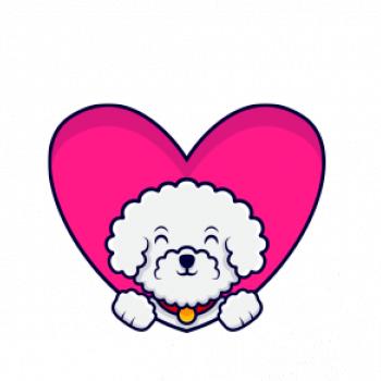 Bišonek zalezlý v srdci