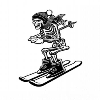 Ski kostra