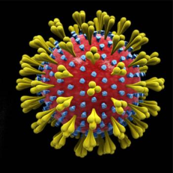 Corona virus - korona virus