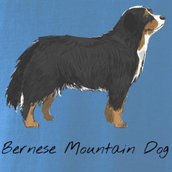 Bernese mountain dog kreslený