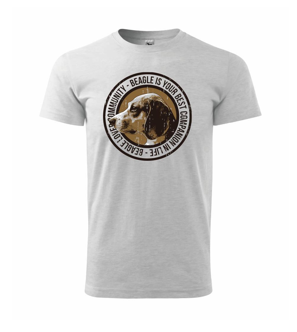 Dog beagle Dog beagle