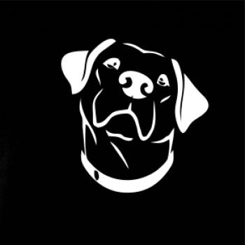 Labrador obrys
