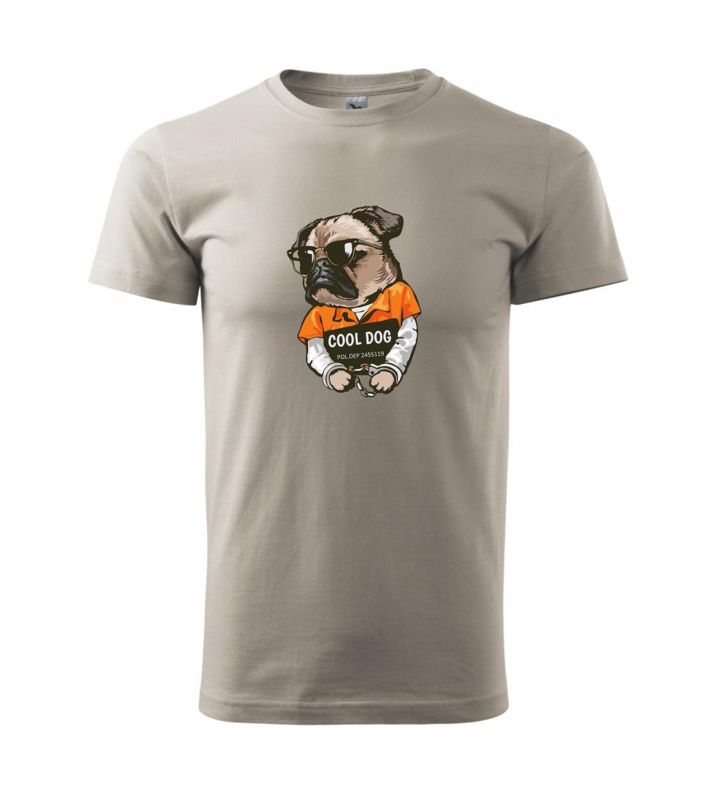 Mops výtržník Mops výtržník