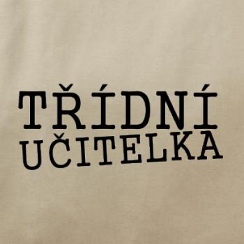 Třídní učitelka