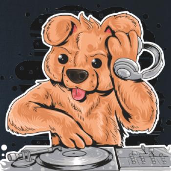 DJ Teddy