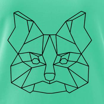 Jorkšírský teriér - Geometrie