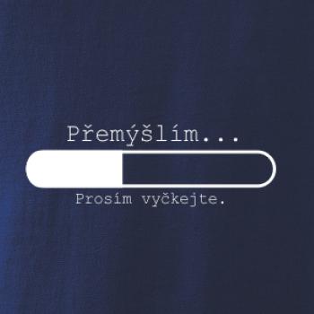Přemýšlím Přemýšlím