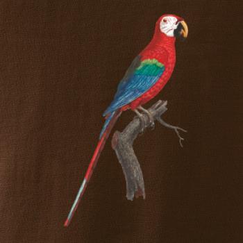 Papoušek červený na větvi