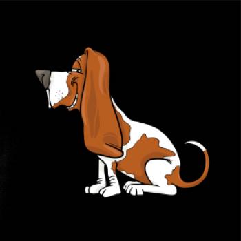 Baset s kulišáckým pohledem